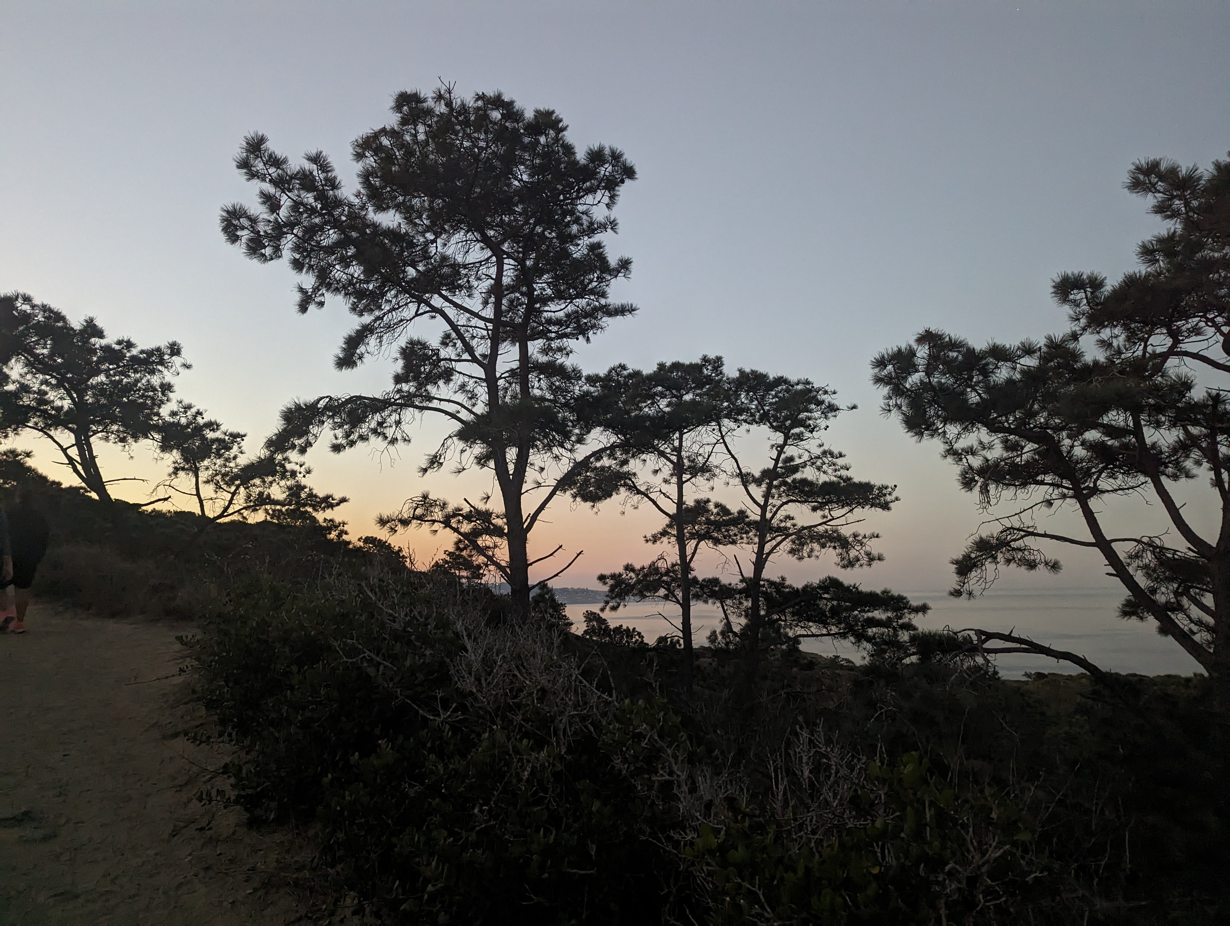 sunrise hike at torrey pines san diego