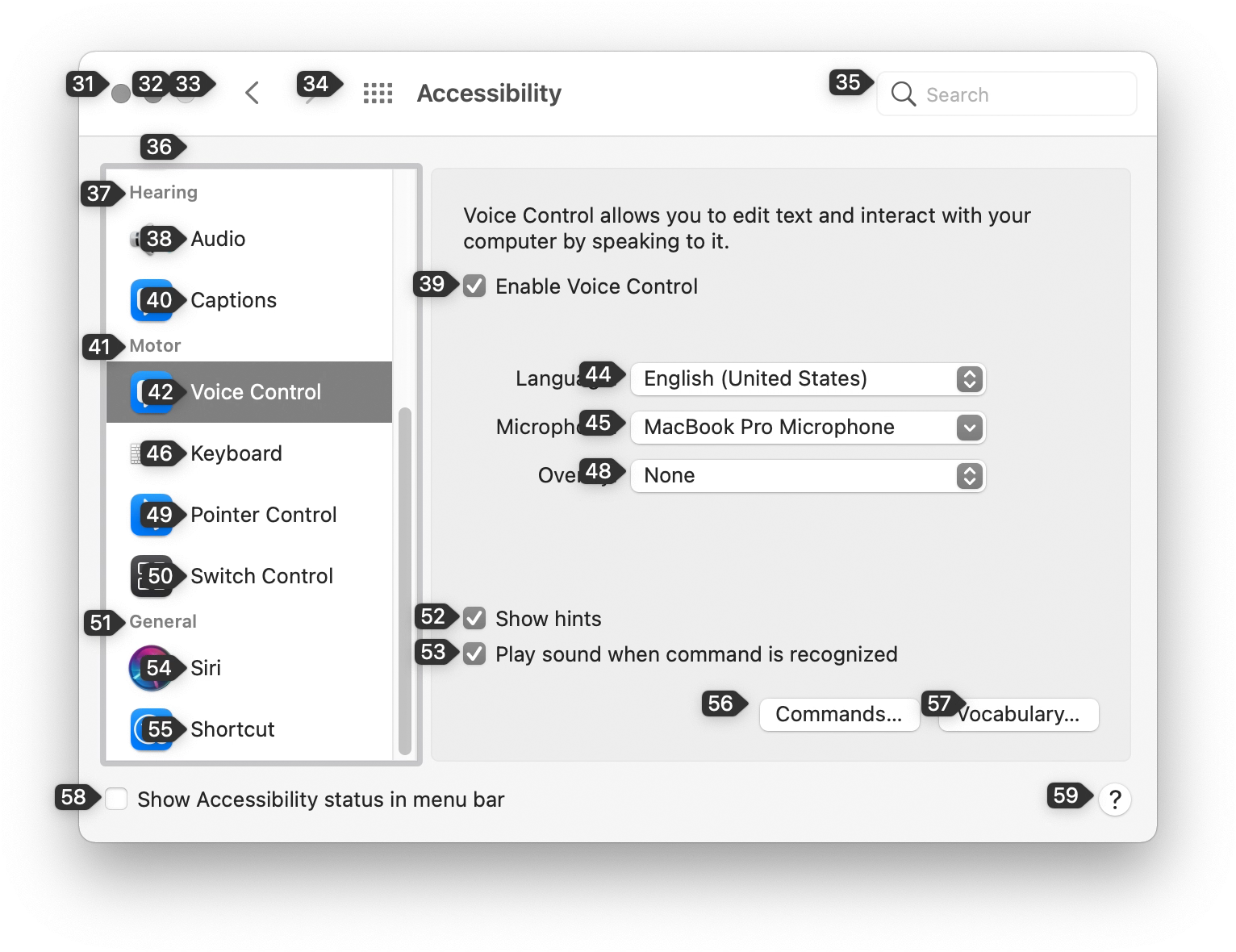 The macOS Accessibility preferences pane, with the options for Voice Control displayed. Numbers are displayed for every interactive element in the pane's UI. Screenshot.