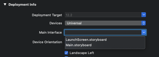 Disabling the initial storyboard in
Xcode