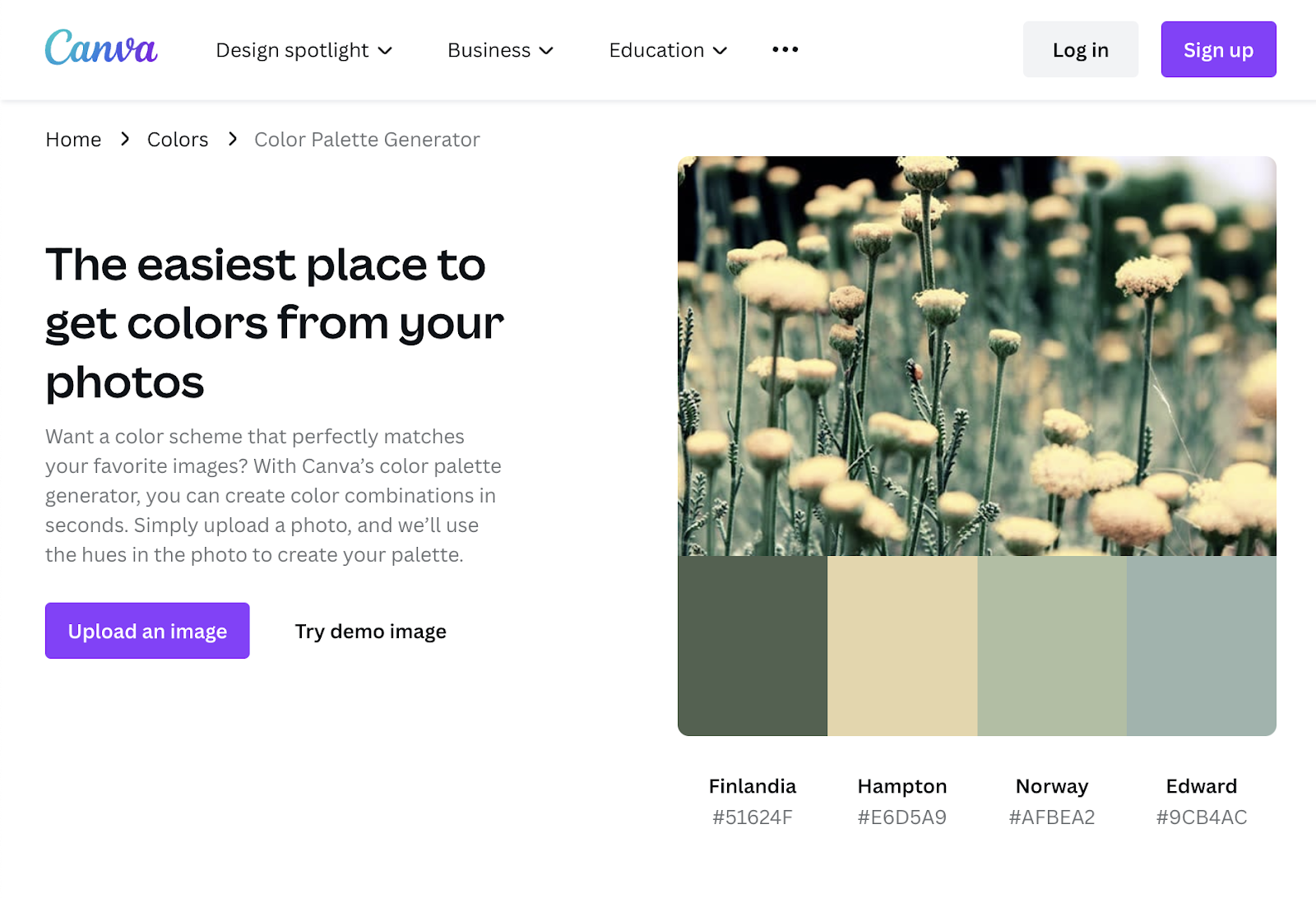 A screenshot of Canva's landing page for its Color Palette Generator