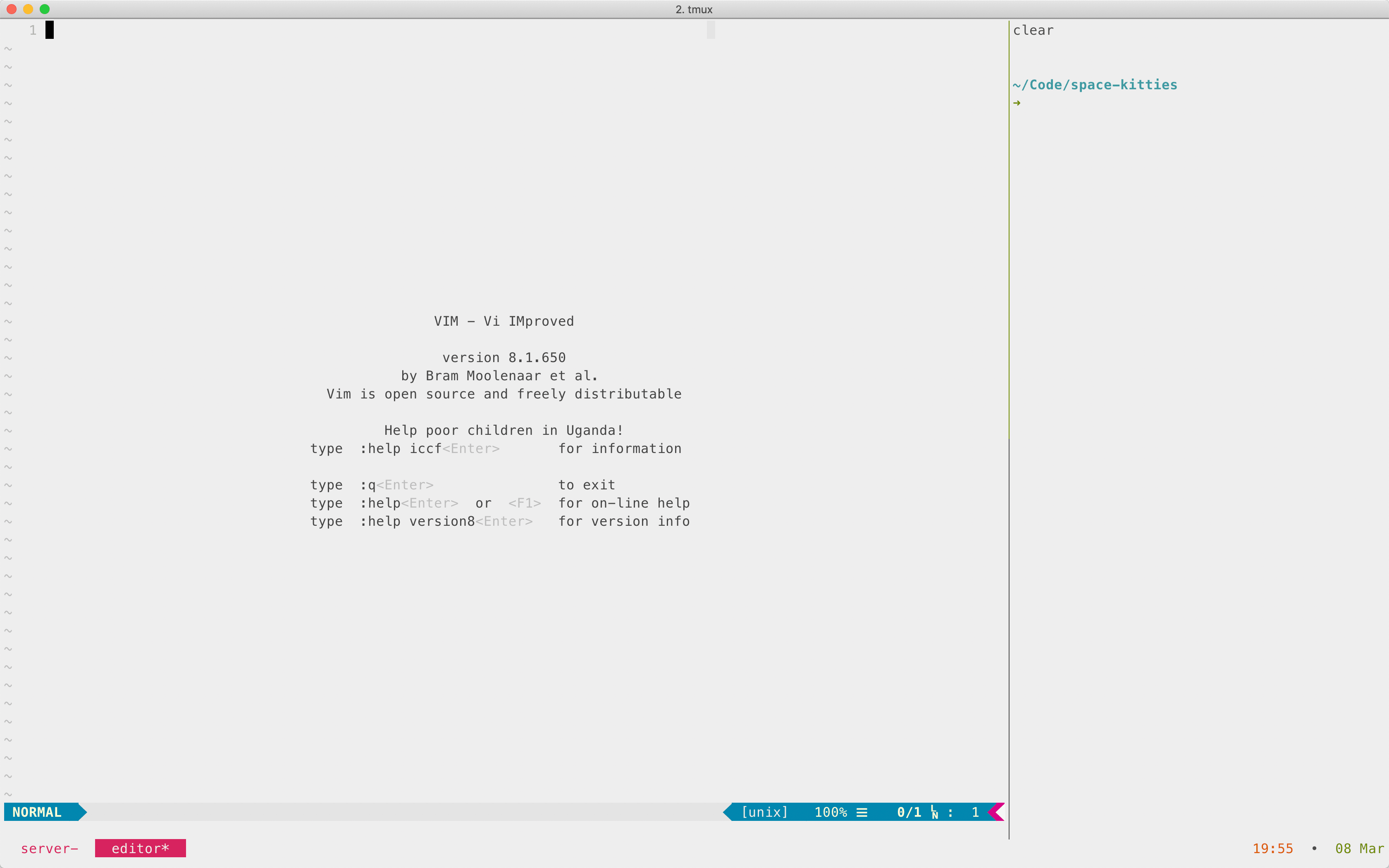 terminal running tmux